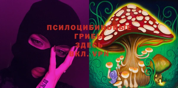 хмурый Кукмор