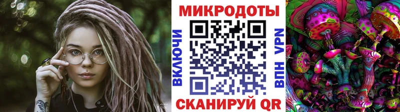 Купить  Мглин  Псилоцибиновые грибы Psilocybine cubensis 